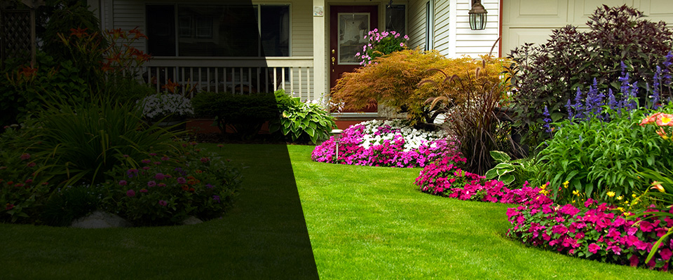 Cottonport Landscapers