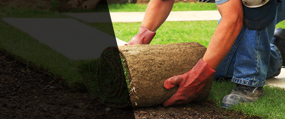 Cottonport Landscapers